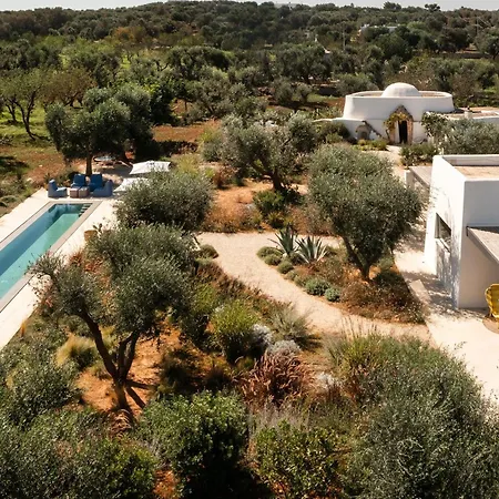 Villa Olivida