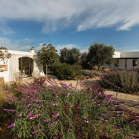 Villa Olivida *